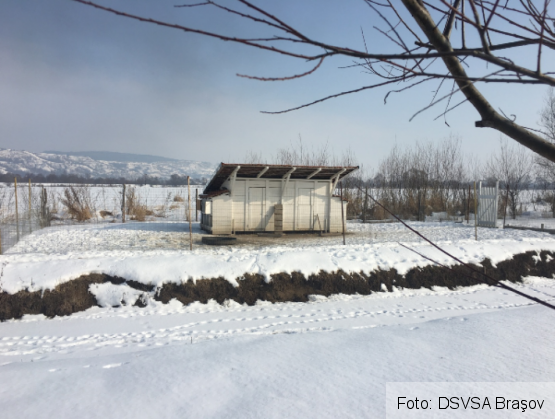 gripa aviara 2_229754.png