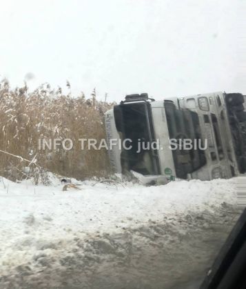 tir vistea_228704.jpg