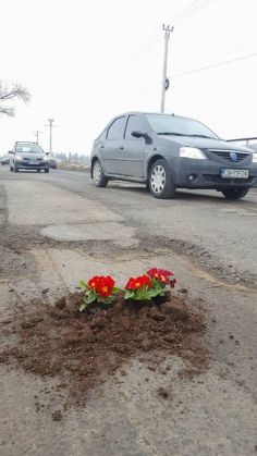 BRAȘOV. În gropile de pe DN73 au răsărit... flori 2 floriDN73_231236.jpg