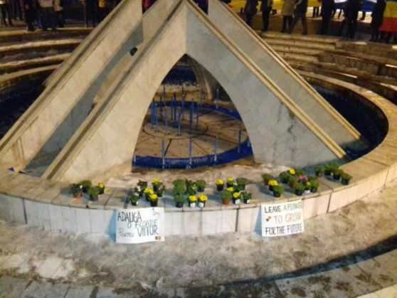 Update BRAȘOV. Tricolorul, steagul UE, Imnul Național și flori în Piața Sfatului 2 flori_231417.jpg