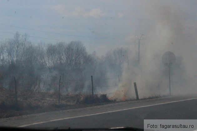 BRAȘOV. Trafic în condiții de... fum, pe DN 1! Au început arderile vegetației uscate (FOTO) 2 fum dn 1 2_232116.jpg