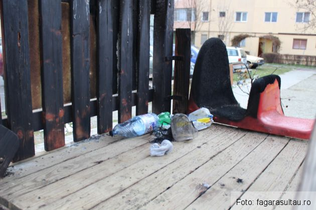 incendiu parc 2_232994.jpg