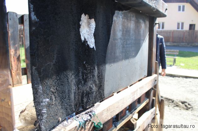 incendiu parc 4_232995.jpg