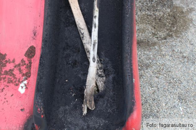 incendiu parc_232996.jpg