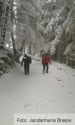 nemti munte 3_232562.jpg