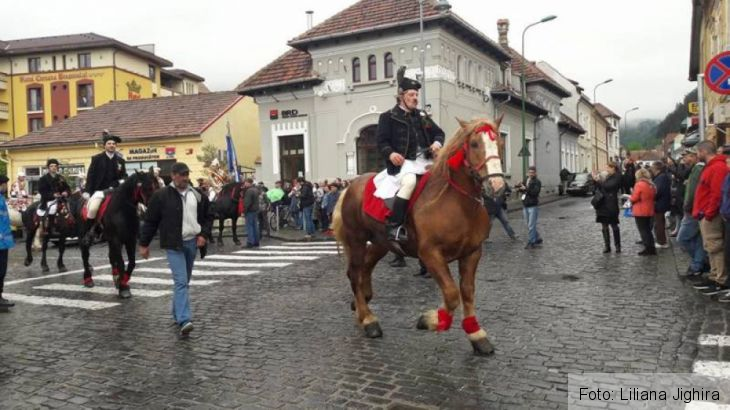 Junii 2017 (61)_235178.jpg