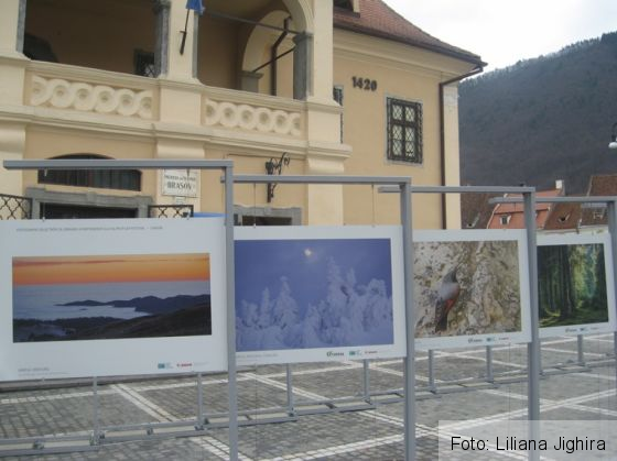 Muntele (12)_235220.JPG