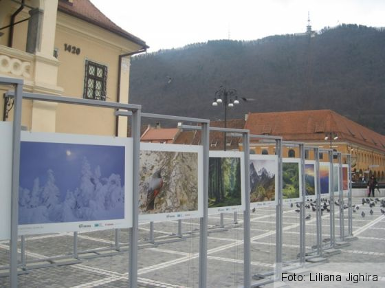 Muntele (13)_235221.JPG