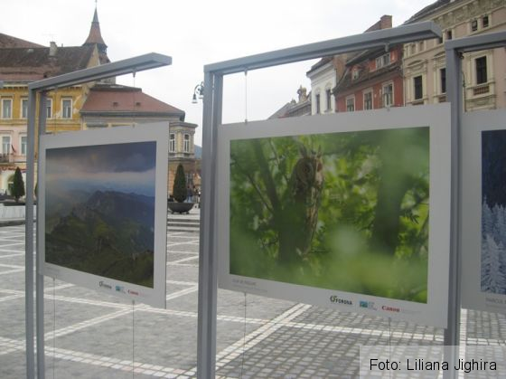 Muntele (8)_235217.JPG