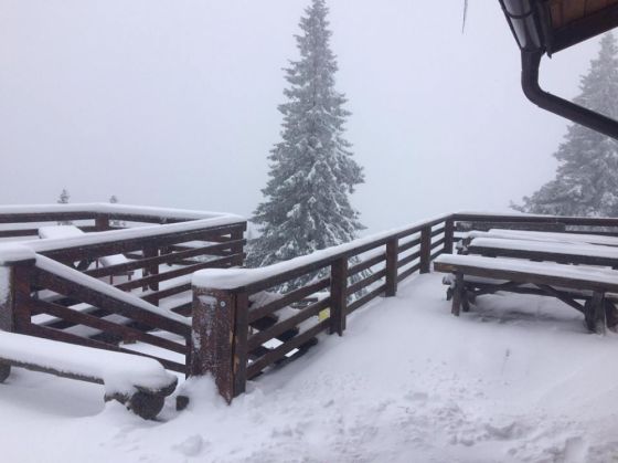 Mai rău ca la METEO! 2 Zapada_Postavarul_234485.jpg