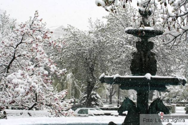 Zapadaaprilie (1)_234665.jpg