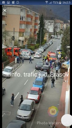 accident vulturului 3_233849.jpg