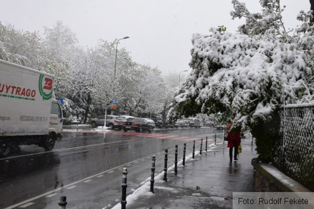 iarnaninsoareaprilie (11)_234614.JPG