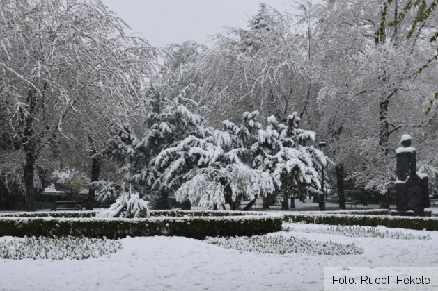 iarnaninsoareaprilie (14)_234617.JPG