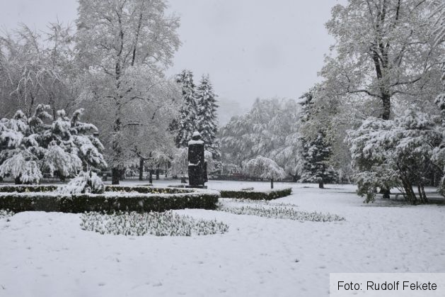 iarnaninsoareaprilie (16)_234620.JPG