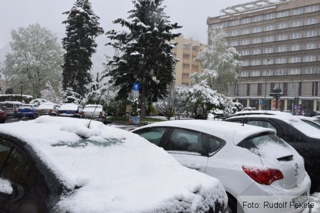 iarnaninsoareaprilie (17)_234622.JPG