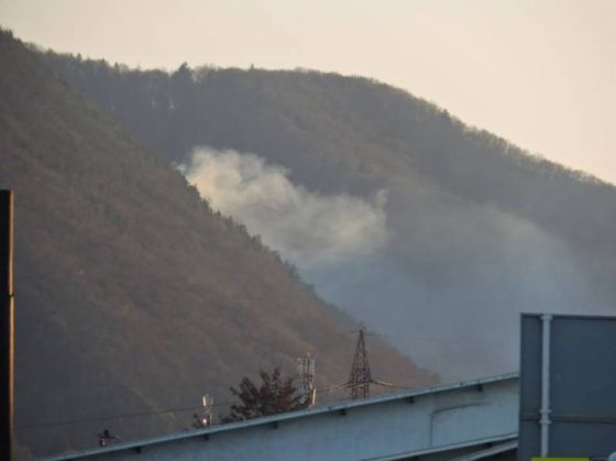 incendiu Tampa1_233699.jpg