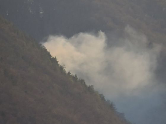 incendiu Tampa2_233698.jpg