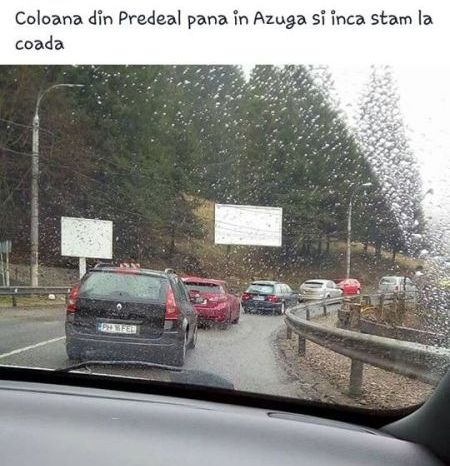 trafic3.jpg