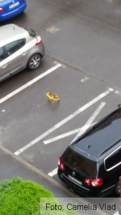BRAȘOV. Parcare... păguboasă pentru o șoferiță. GALERIE FOTO 4 IMG-20170508-WA0006_235507.jpg