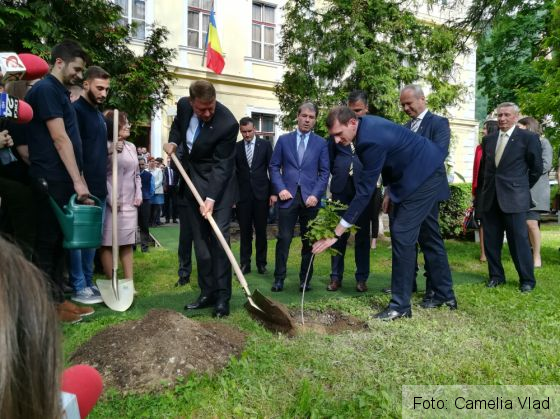 Iohannis_plant2_236240.jpg
