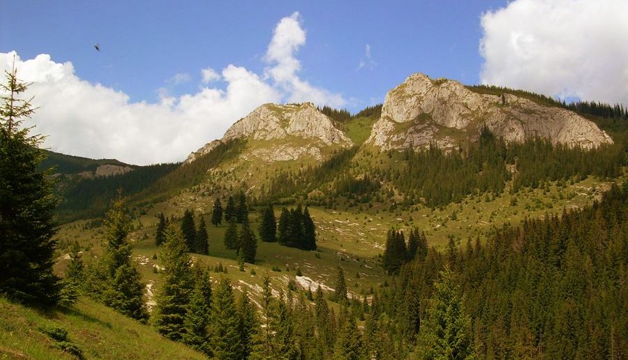 Cum se distruge natura în numele... protejării ei! 2 defileuljiului2.jpg
