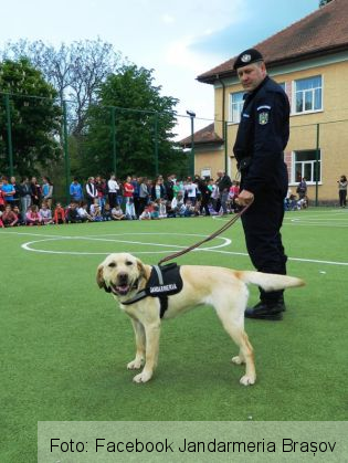 scoala altfel 3_236343.jpg