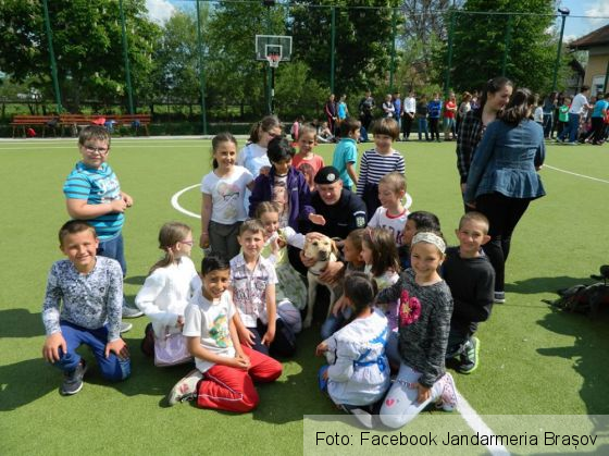 scoala altfel 8_236348.jpg