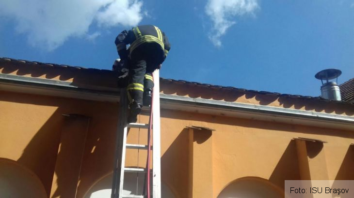 incendiu hirscher_237333.jpg