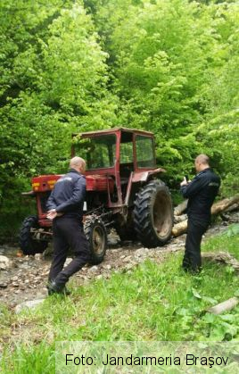 padure jandarmi 2_236911.jpg