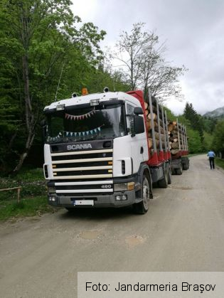 padure jandarmi 3_236910.jpg