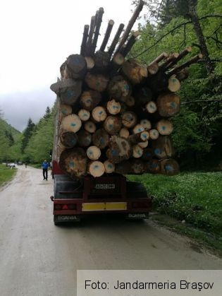 padure jandarmi 4_236913.jpg