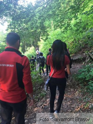 ranita tampa 2_236796.jpg