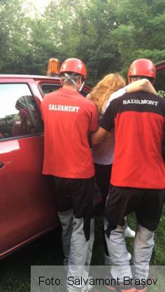 ranita tampa_236795.jpg