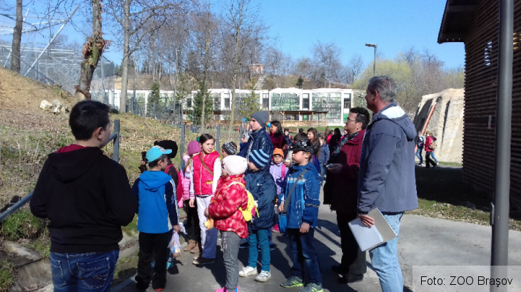 scoala altfel zoo_237512.png