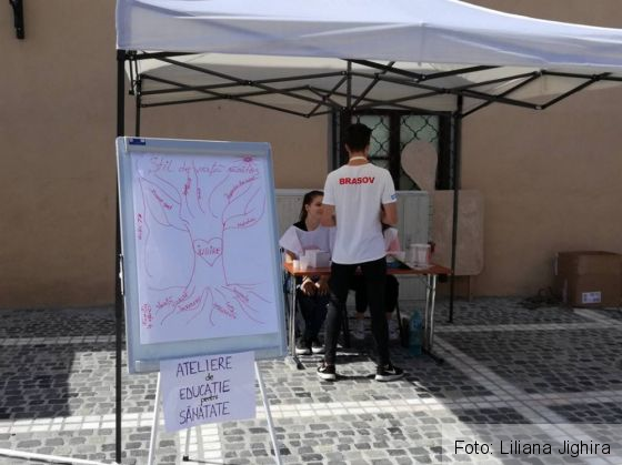 Crucea rosie3_239512.jpg