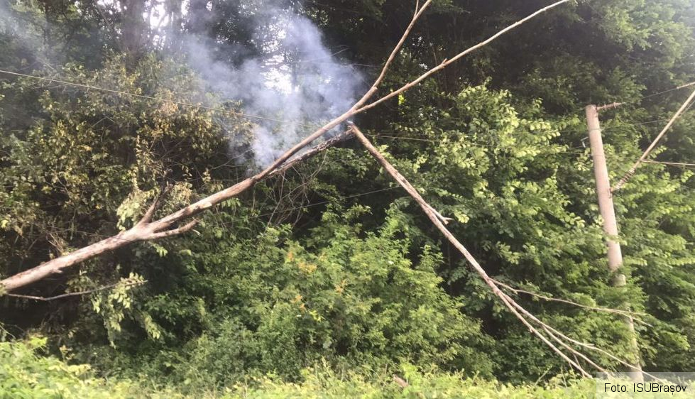 BRAȘOV. Copac căzut peste firele de înaltă tensiune între Brașov și Predeal - FOTO 2 copac_9.jpg