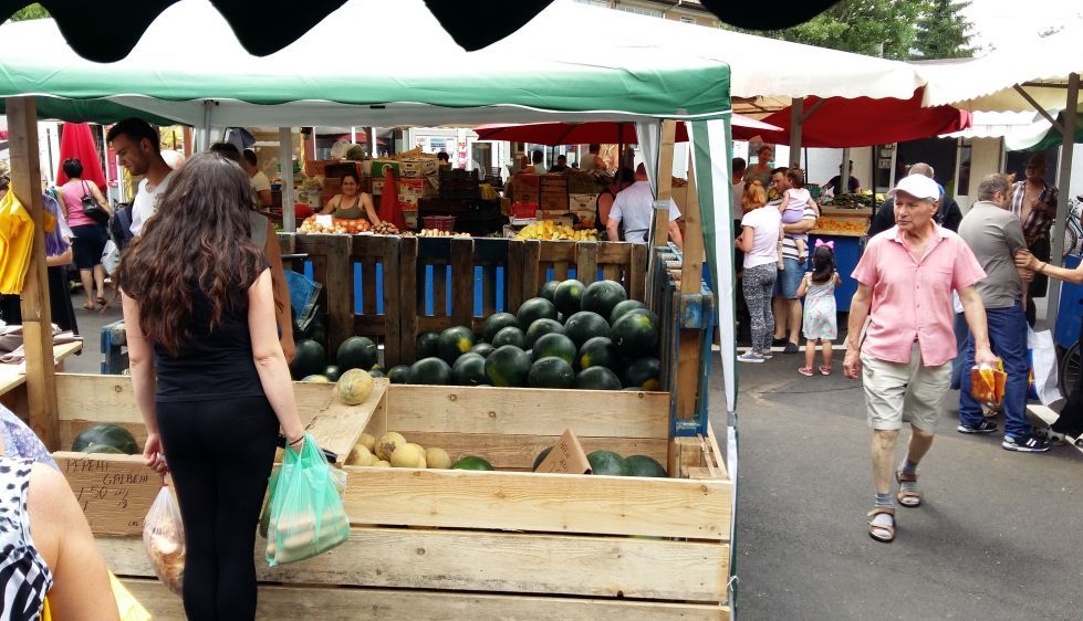 BRAȘOV. Pepenii de Dăbuleni au apărut în piețele din oraș. Cât costă kilogramul - GALERIE FOTO 2 pepeni1.jpg