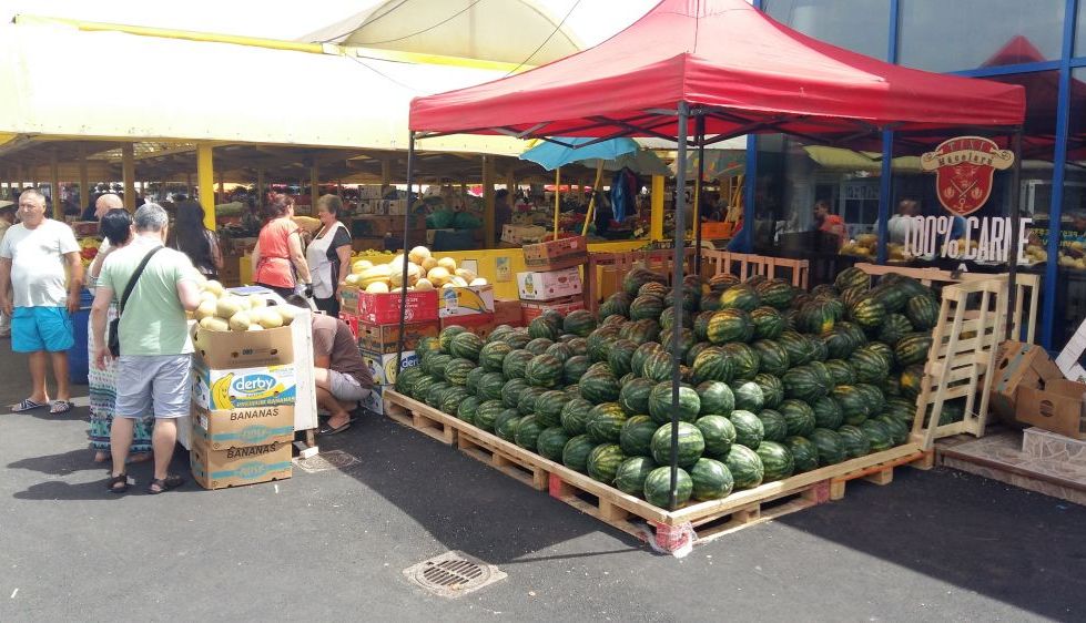 BRAȘOV. Pepenii de Dăbuleni au apărut în piețele din oraș. Cât costă kilogramul - GALERIE FOTO 6 pepeni5.jpg