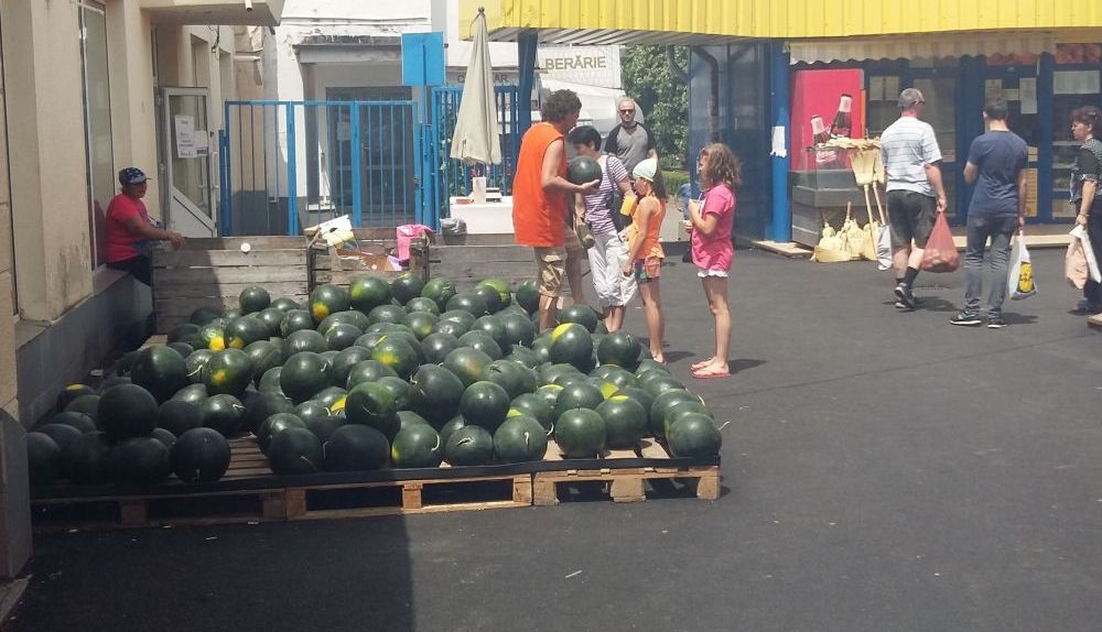 BRAȘOV. Pepenii de Dăbuleni au apărut în piețele din oraș. Cât costă kilogramul - GALERIE FOTO 7 pepeni6.jpg