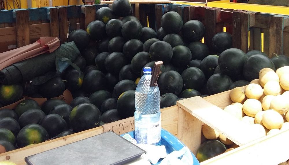 BRAȘOV. Pepenii de Dăbuleni au apărut în piețele din oraș. Cât costă kilogramul - GALERIE FOTO 8 pepeni7.jpg