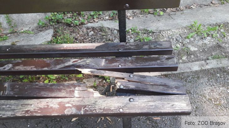 distrugeri zoo 3_240506.jpg