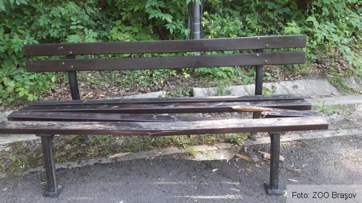 distrugeri zoo_240505.jpg