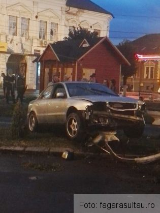 masina flori_239706.jpg