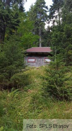 poteca postavarul 2_239821.jpg