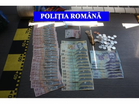 tigari brasov 4_239624.jpg