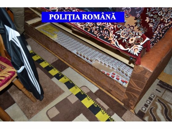 tigari brasov_239627.jpg