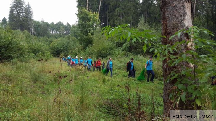 ecologizare 2_240947.jpg