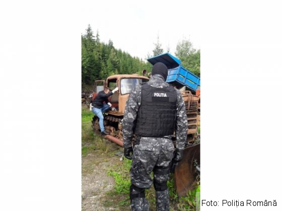 perchezitii lemne 3_240758.jpg