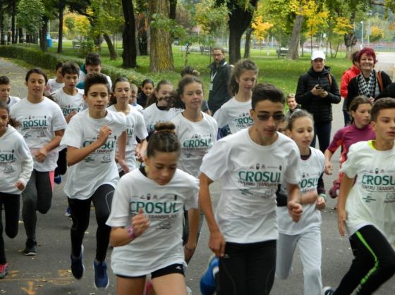 Cros transplant 13.10_242572.jpg